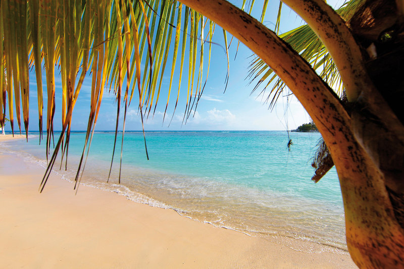 Urlaub im Bahia Principe Luxury Runaway Bay - hier günstig online buchen