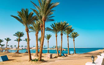 Urlaub im Hilton Hurghada Resort & Club - Club - hier günstig online buchen